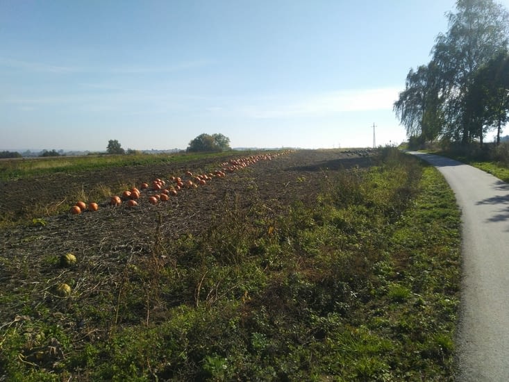 On est bien en Octobre !!