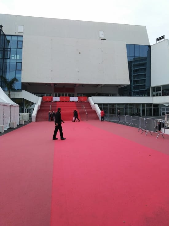Le tapis rouge de Cannes