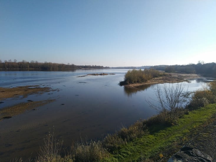 La Loire "sauvage" entre Saumur et Angers