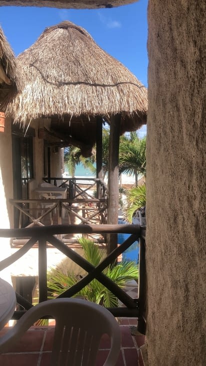 Manana: Sophia décuve