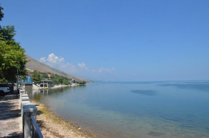 Le lac de Shkodër