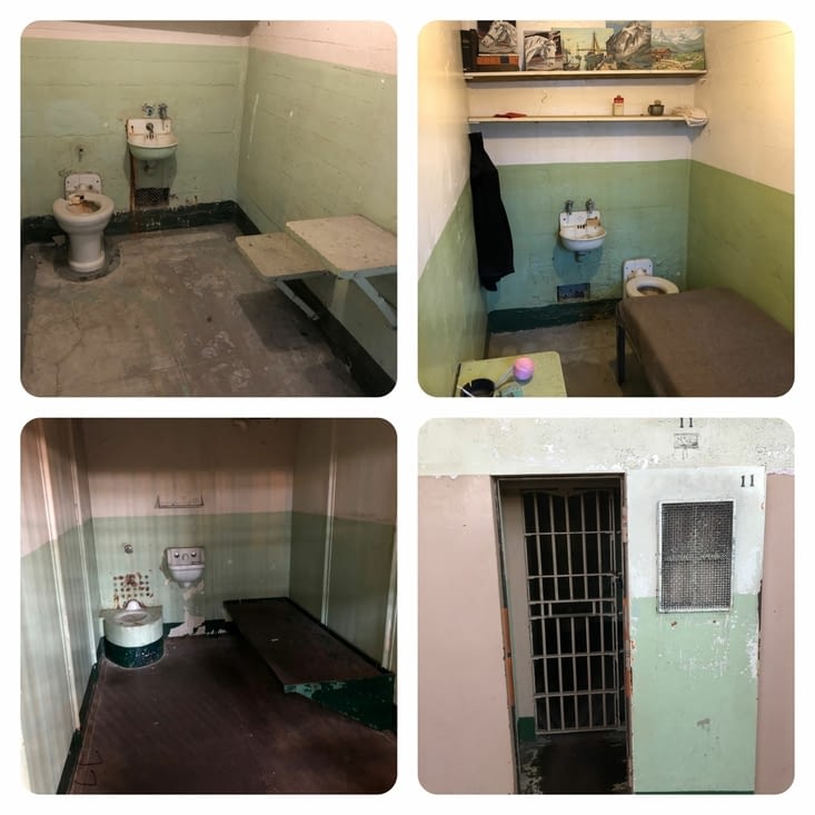 Les différentes cellules