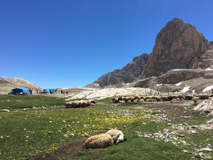 Bergers à 3500 mètres d’altitude, Montagnes de l’Aladaglar, sud de la Cappadoce