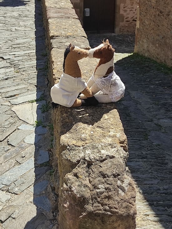 Un couple de chevaux trop mignons 😁