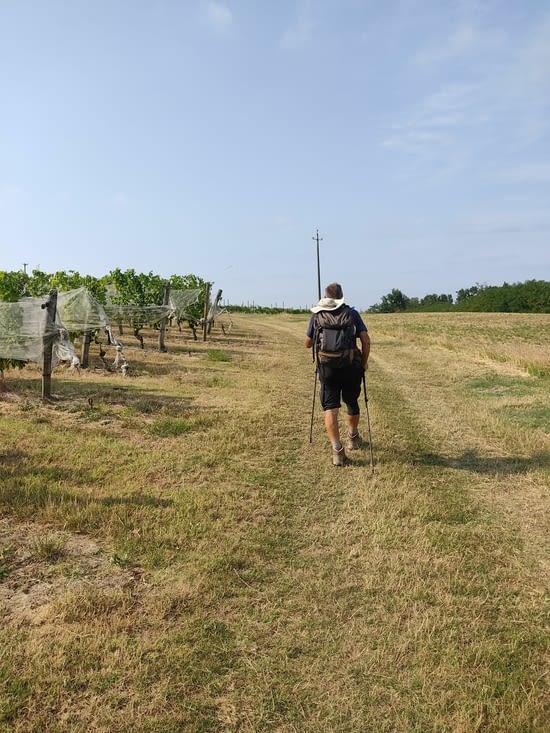 Nous avons traversé les vignes