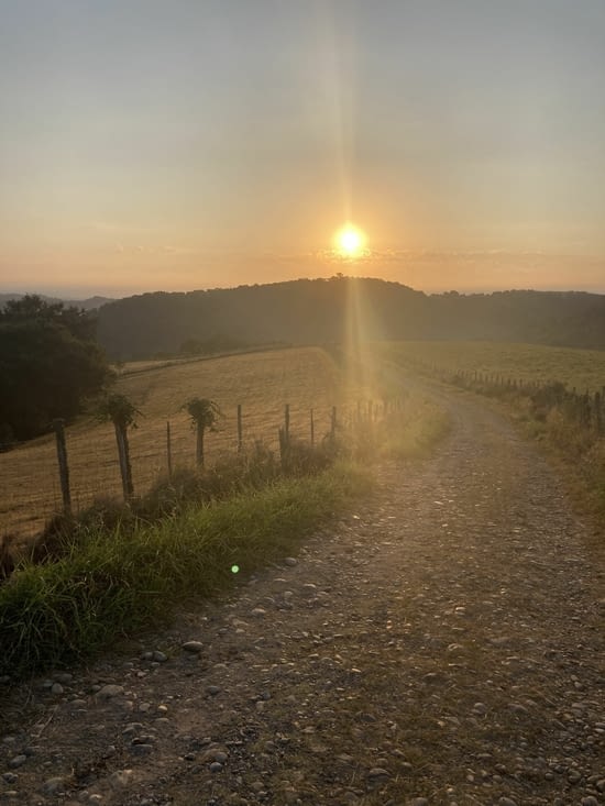 Le chemin au levé du soleil