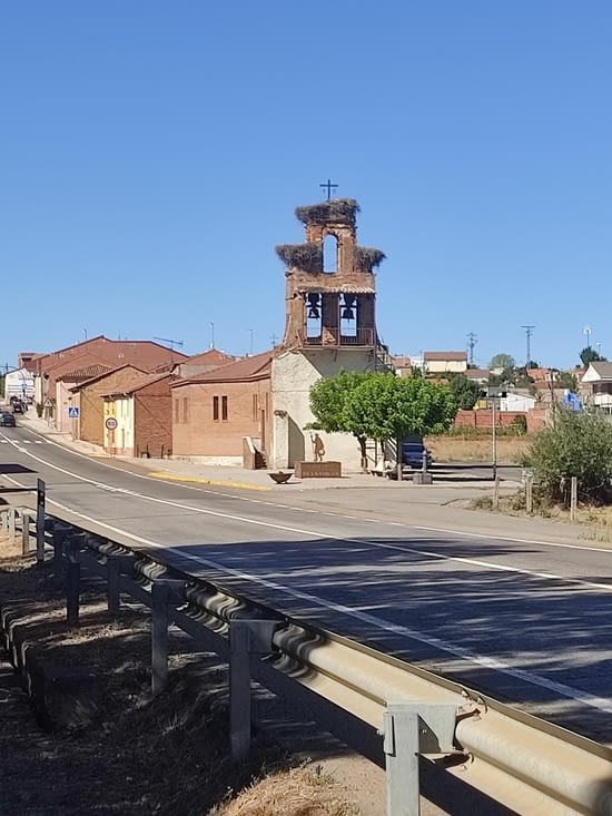 Des nids de cigognes