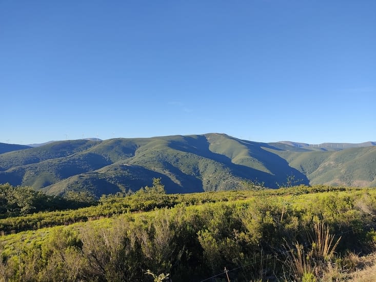 Elles sont bien vertes les montagnes