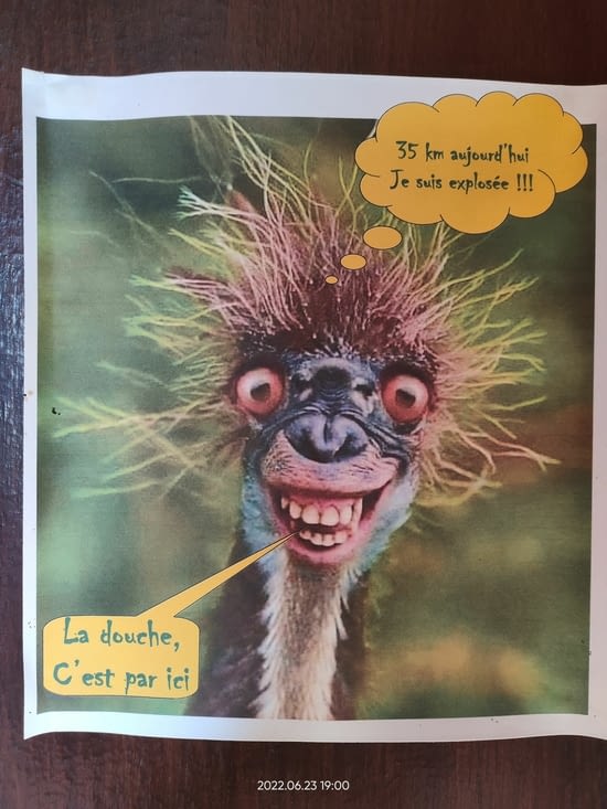 Le pèlerin extatique !