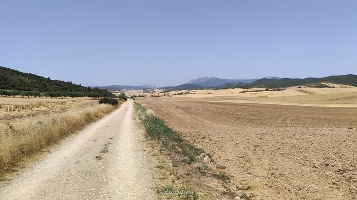 De l'ombre, je veux de l'ombre