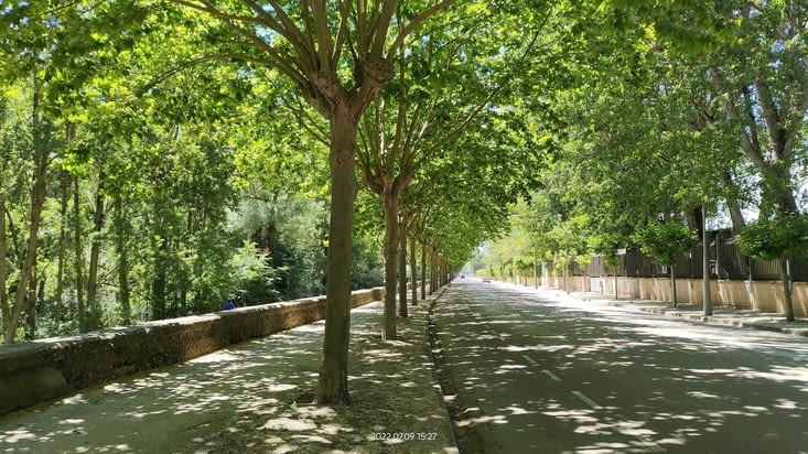 Longue longue avenue