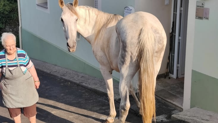 En liberté dans le village