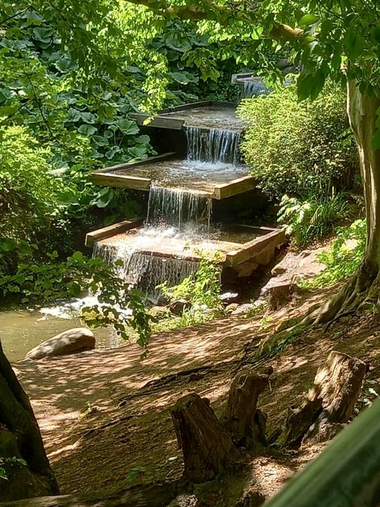 On commence par le jardin des plantes