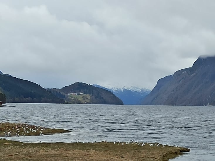 Premier "vrai" fjord