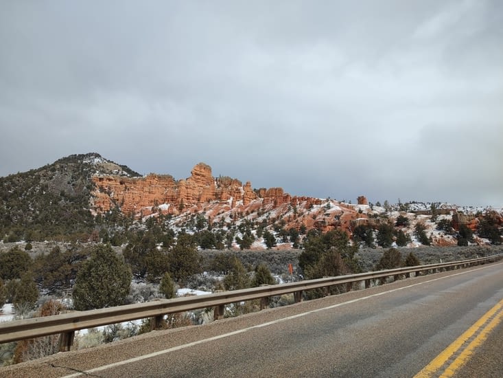 Dixie national forest
