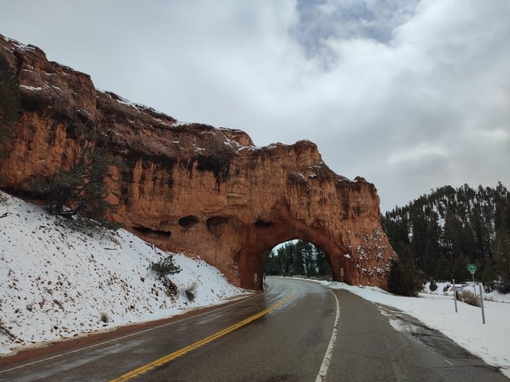 Dixie national forest