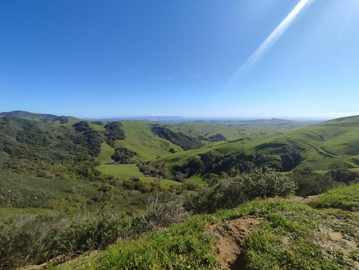 Paso Robles Wine County