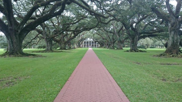 Oak Alley
