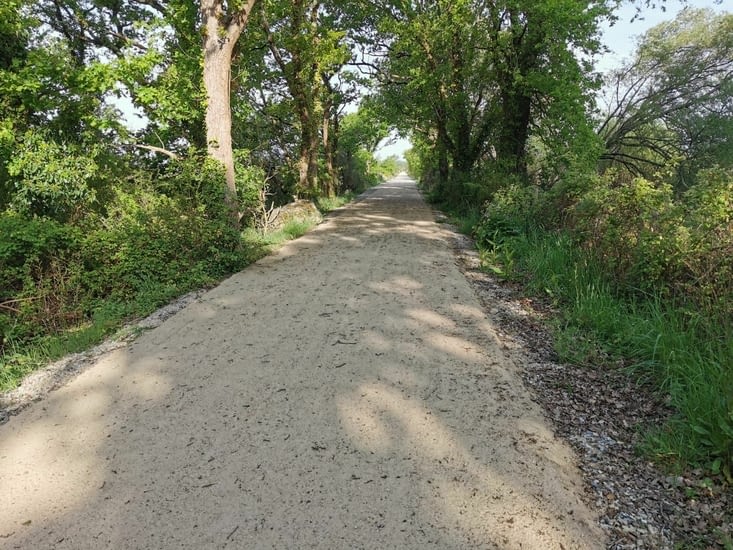 Verdure toute la matinée
