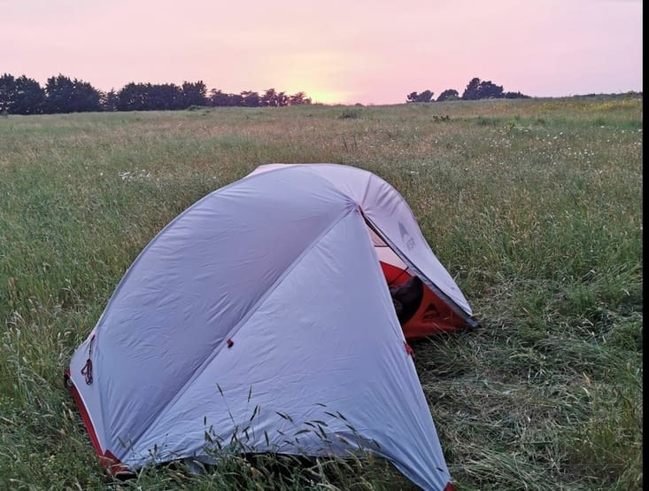 Dodo au bord du Golf