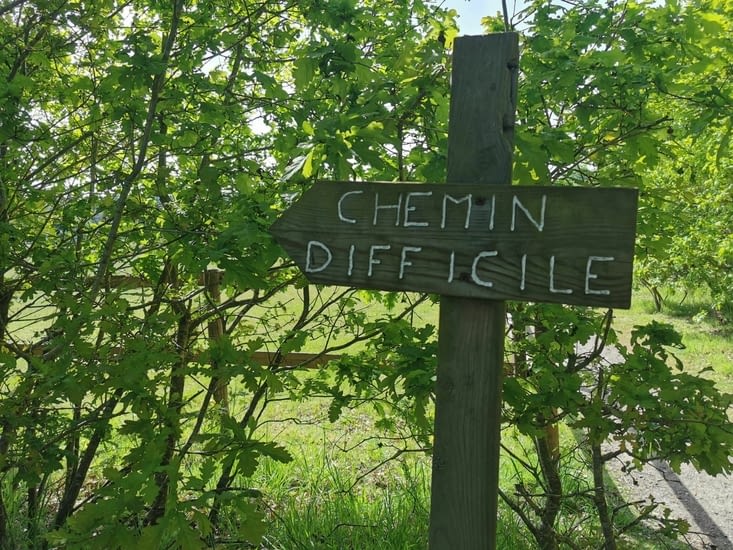 C'est ce qu'on va voir 💪🏻