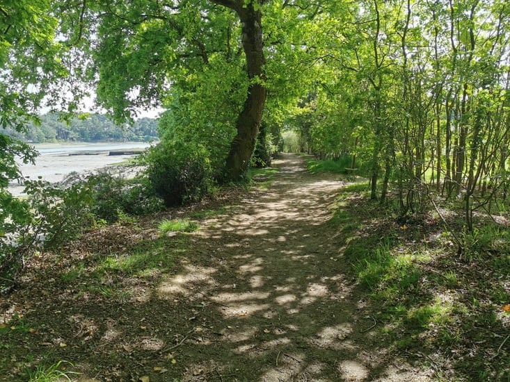 En plein après midi, passages très agréables 🌳🌳