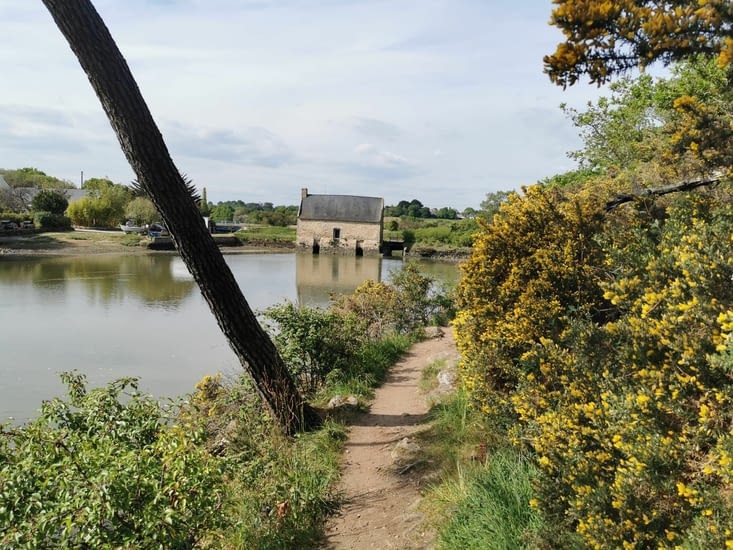 Joli moulin à marée transformé en brocante