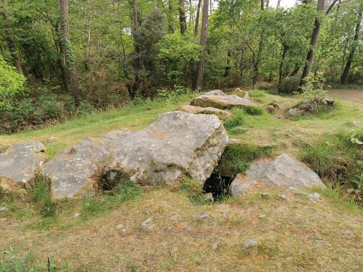 Sont forts ces Gaulois