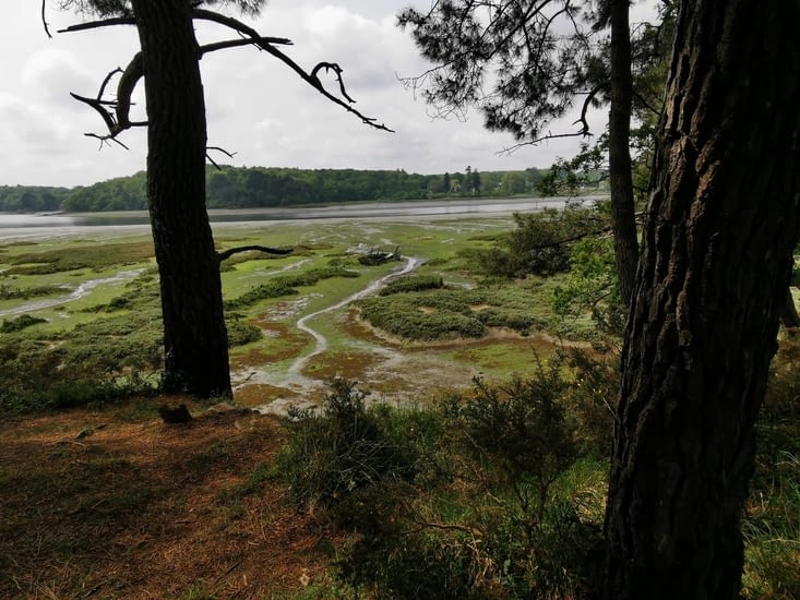 Il y un petit château dans le fond 🏰