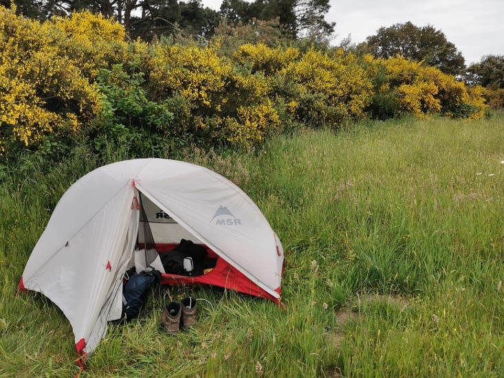 Ce soir c'est au milieu des ajoncs en fleurs