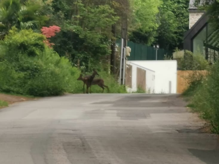 Belle rencontre en ville 😍