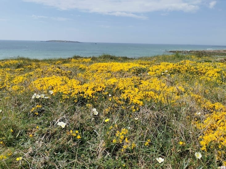 C'est beau mais il vous manque l'odeur, ça sent trop bon