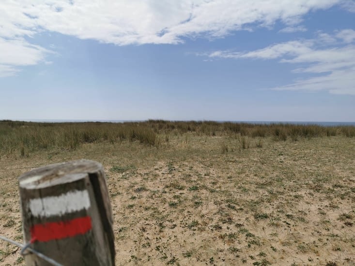 Les 2 couleurs qui me guident depuis le début