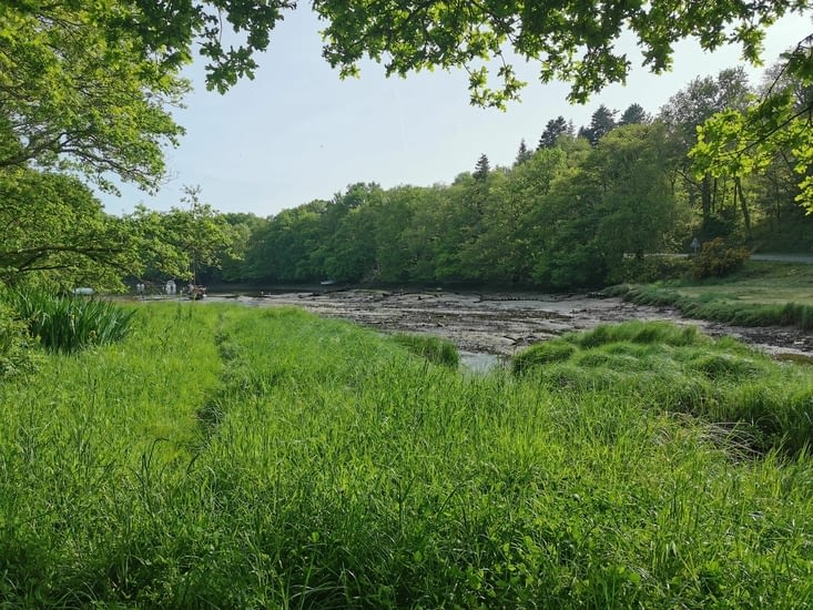 Arrivé dans le fond de Brigneau