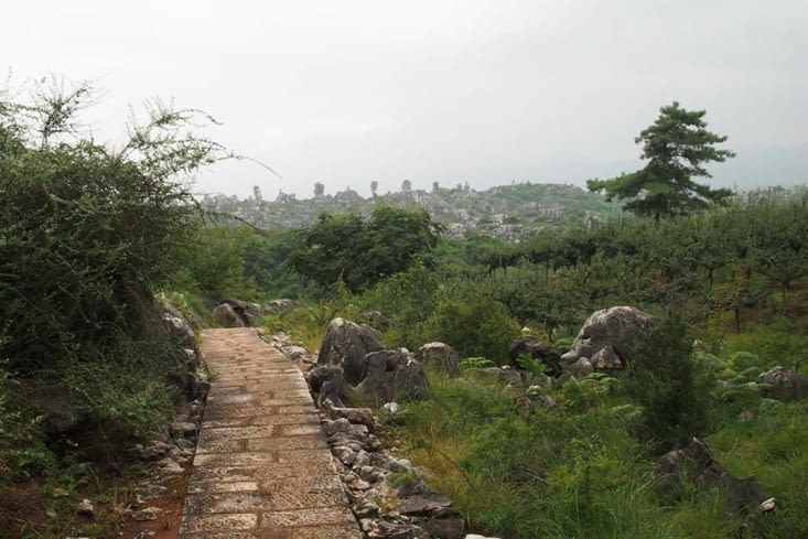 Comme Dorothée nous suivons le chemin de brique...