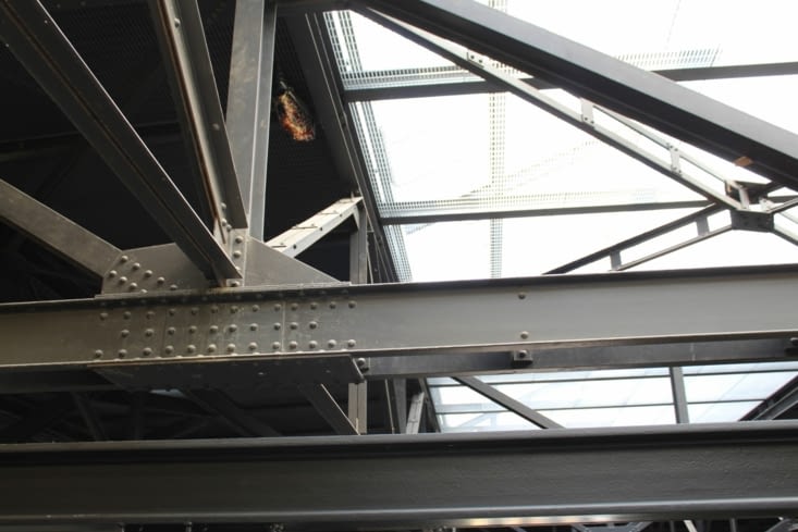 Poisson coincé au plafond du bâtiment de la Tate Modern