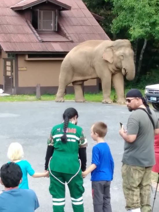 Une vétérinaire du parc nous a emmené au plus près de l'éléphant