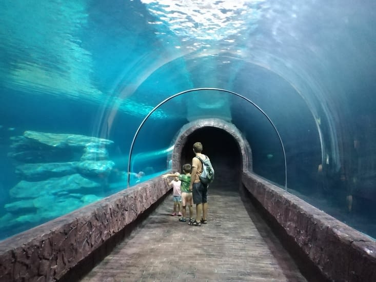 Visite de l'aquarium de Nong Khai