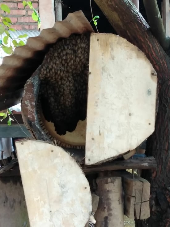 Notre mécanicien de fortune avait des ruches d'abeilles artisanales chez lui...