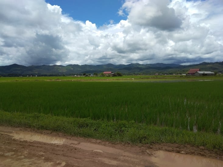 Paysages de rizières et montagnes à n'en plus finir. On ne s'en lasse pas