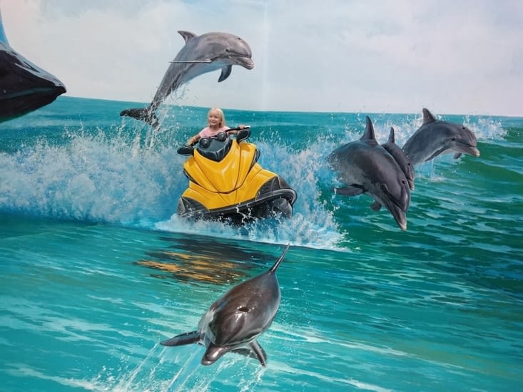 Jet ski au milieu des dauphins
