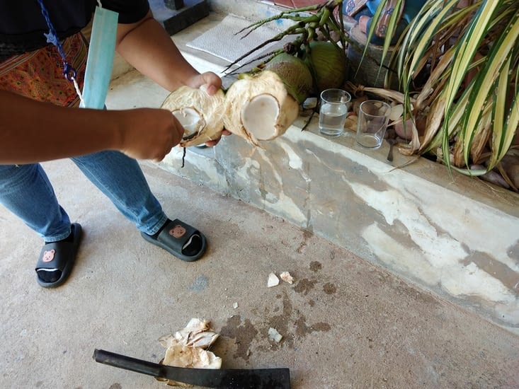 Démonstration de découpe d'une noix de coco par notre guest house