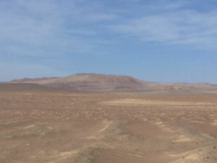 Reserva Paracas: dunes/desert