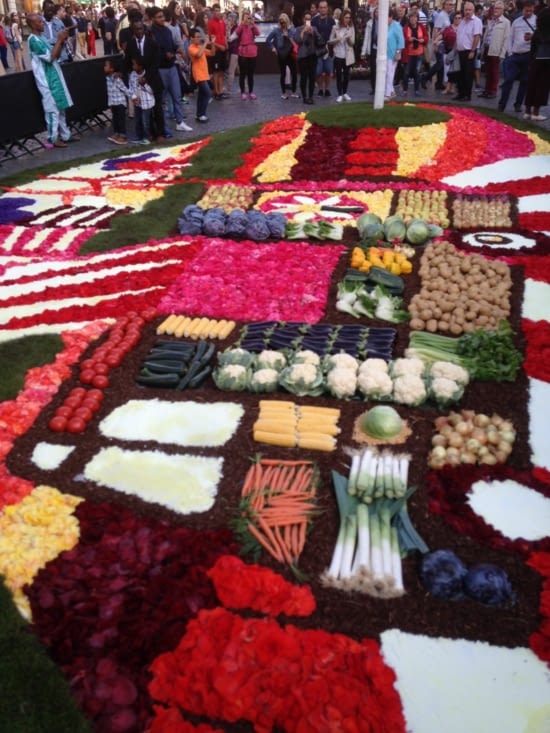 Le Tapis de Fleurs :  sur la plus belle place du monde