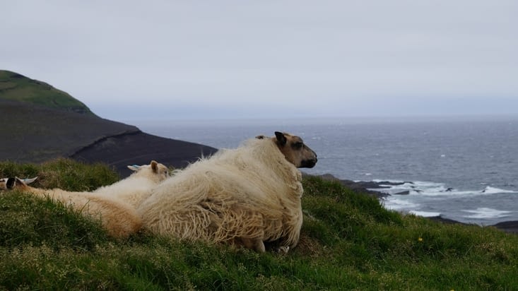 Elle est pas belle la vue ?