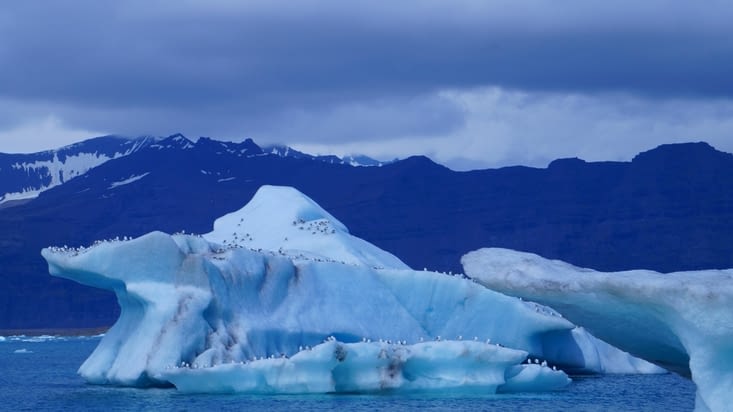 lagon de Jökulsárlón