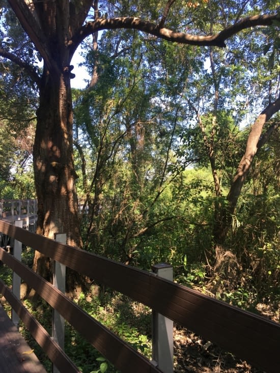 Bienvenue sur l'île de Santay