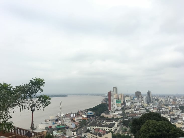 Guayaquil