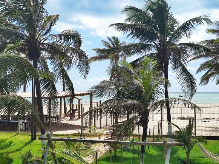 Soleil, piscine, bouquin, palmiers, océan 😎