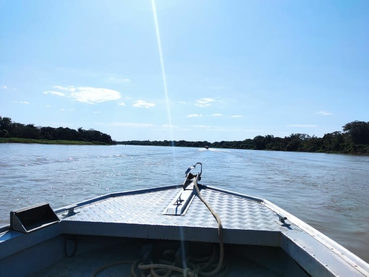 Pantanal - Jaguar camp